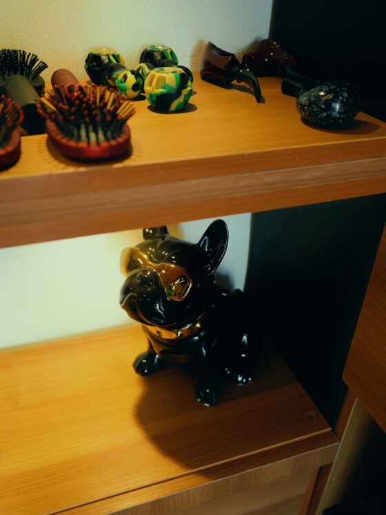 Pitbull Decor